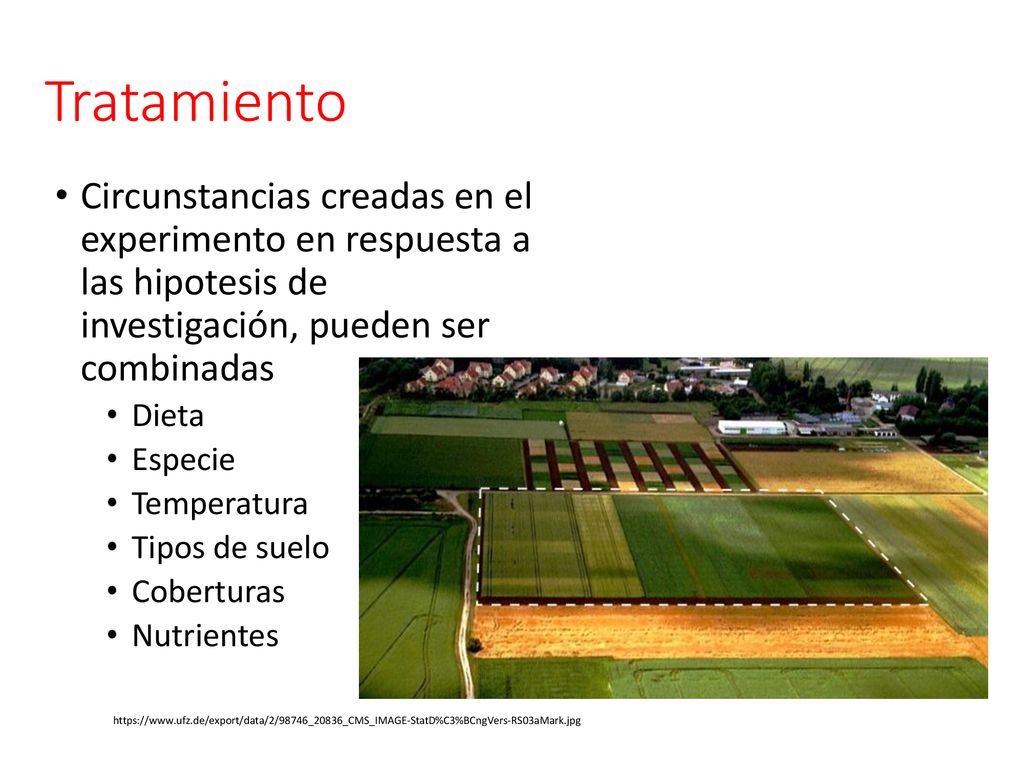 Tratamiento Circunstancias creadas en el experimento en respuesta a las hipotesis de investigación, pueden ser combinadas.