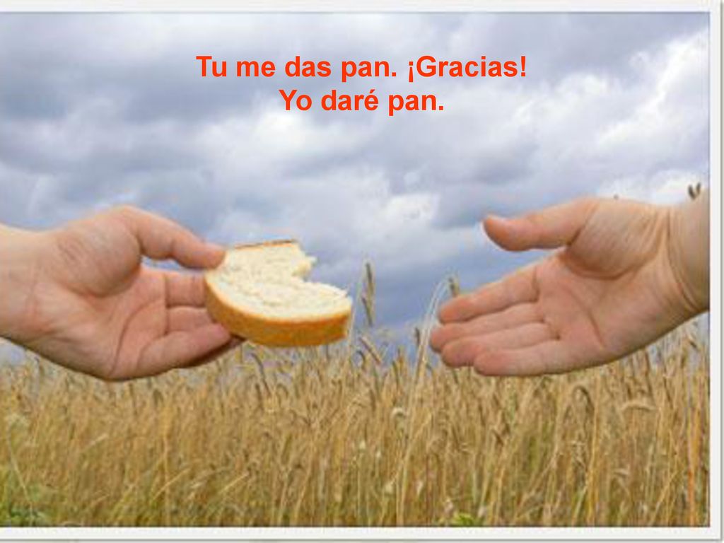 Señor, con el pan y el vino te ofrezco mi vida.