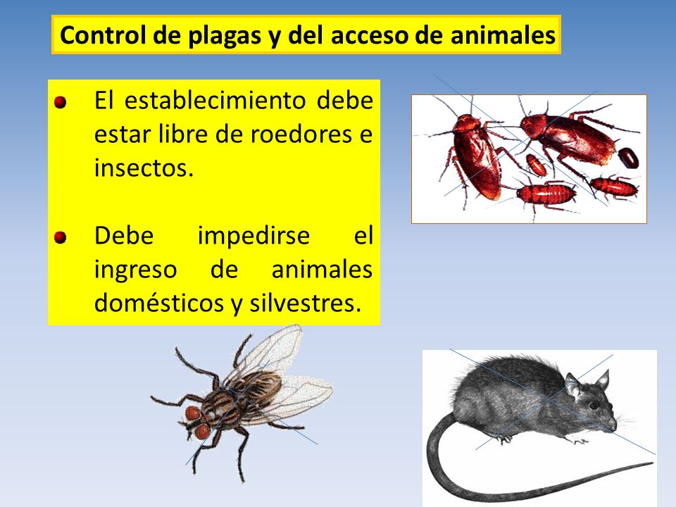 Control de plagas y del acceso de animales