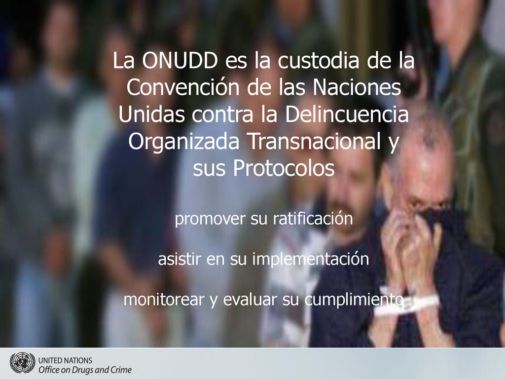 La ONUDD es la custodia de la Convención de las Naciones