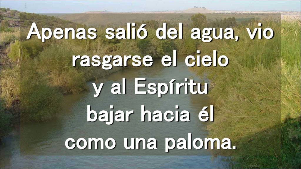Apenas salió del agua, vio rasgarse el cielo y al Espíritu bajar hacia él como una paloma.