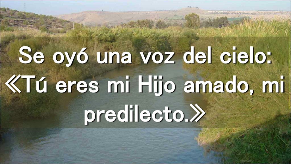 Se oyó una voz del cielo: «Tú eres mi Hijo amado, mi predilecto.»