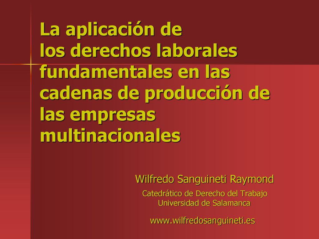 La aplicación de los derechos laborales fundamentales en las cadenas de producción de las empresas multinacionales