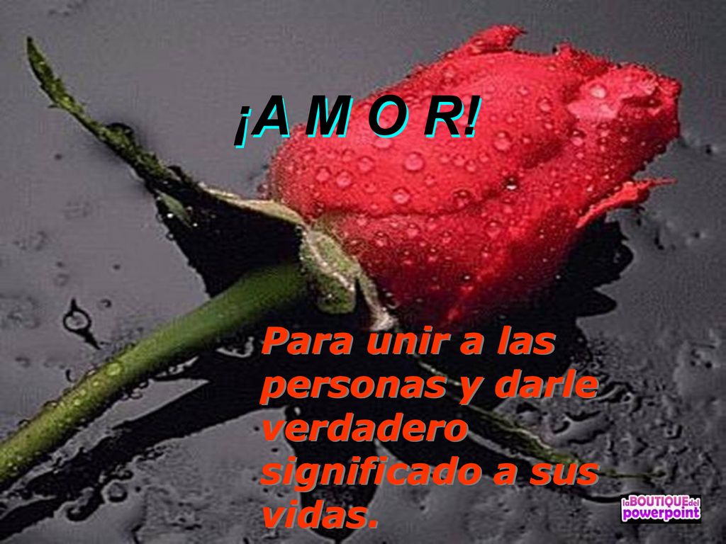 ¡A M O R! Para unir a las personas y darle verdadero significado a sus vidas. ¡A M O R!