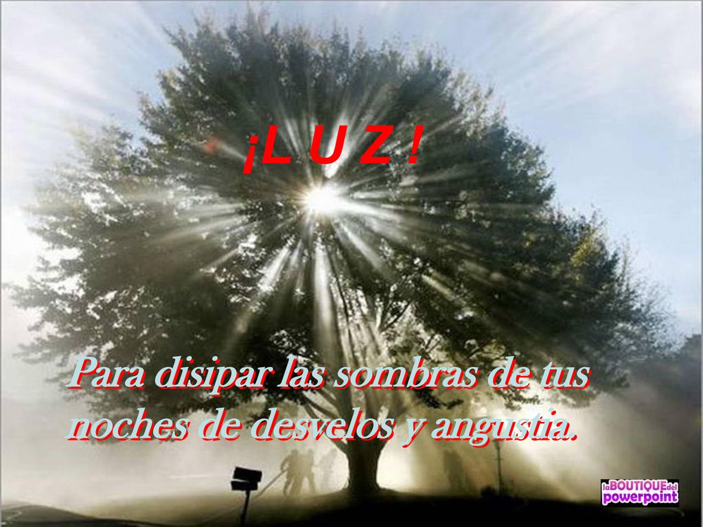 ¡L U Z ! ¡L U Z ! Para disipar las sombras de tus noches de desvelos y angustia.