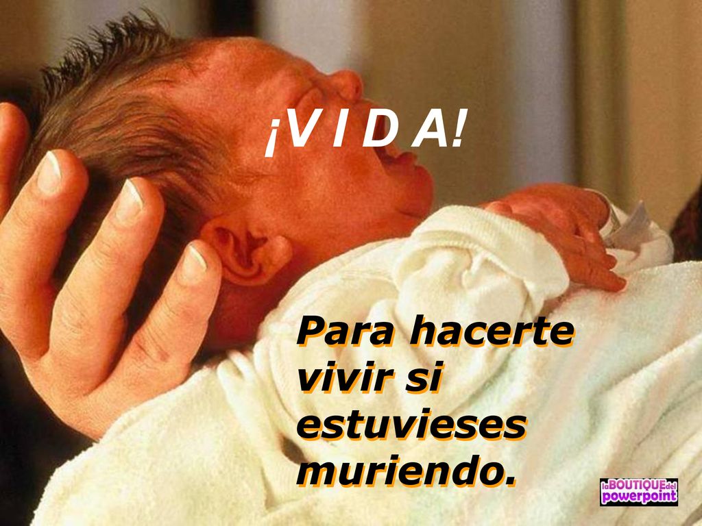 ¡V I D A! Para hacerte vivir si estuvieses muriendo. ¡V I D A!