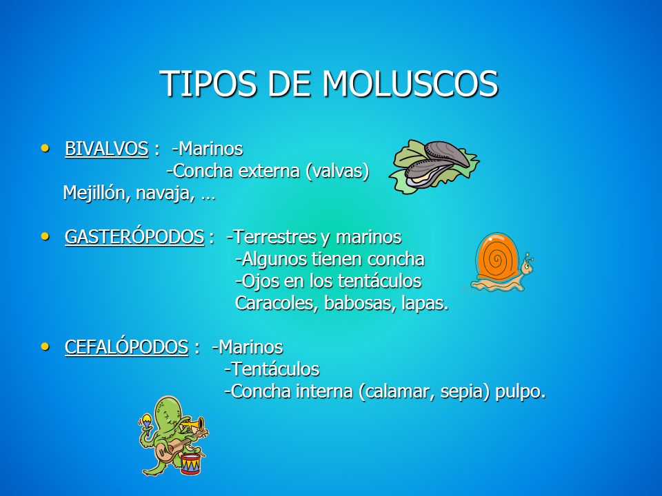 TIPOS DE MOLUSCOS BIVALVOS : -Marinos -Concha externa (valvas)