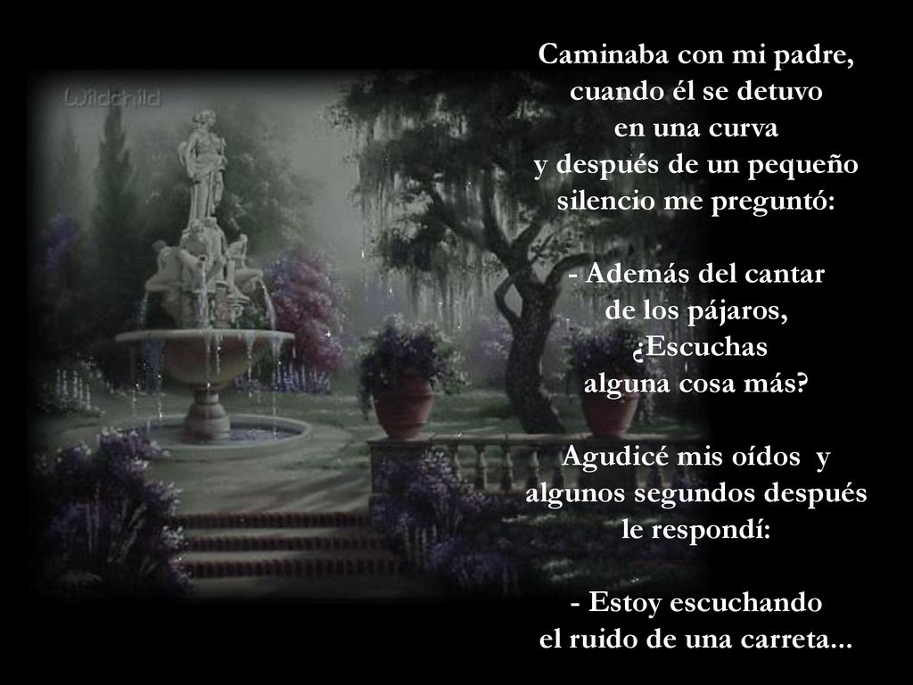 Caminaba con mi padre, cuando él se detuvo en una curva y después de un pequeño silencio me preguntó: - Además del cantar de los pájaros, ¿Escuchas alguna cosa más.