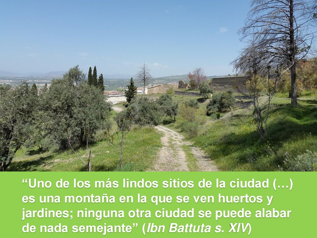 Uno de los más lindos sitios de la ciudad (…) es una montaña en la que se ven huertos y jardines; ninguna otra ciudad se puede alabar de nada semejante (Ibn Battuta s.