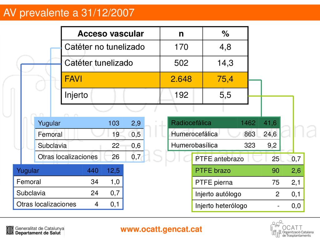 AV prevalente a 31/12/2007 Acceso vascular n % Catéter no tunelizado