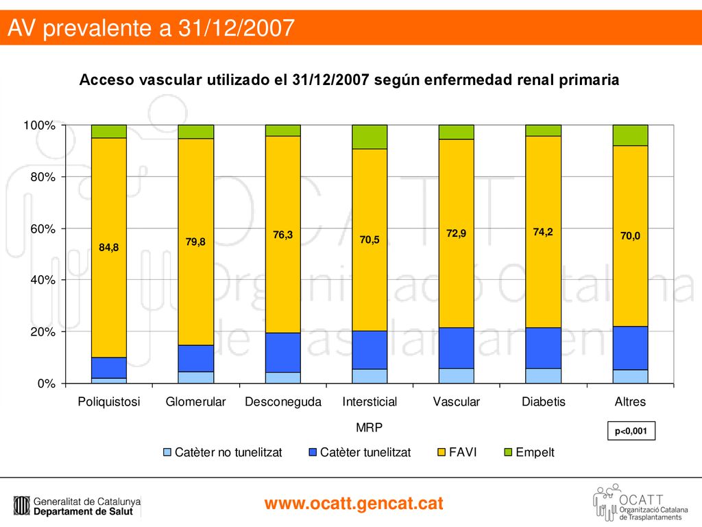AV prevalente a 31/12/2007 Acceso vascular utilizado el 31/12/2007 según enfermedad renal primaria.