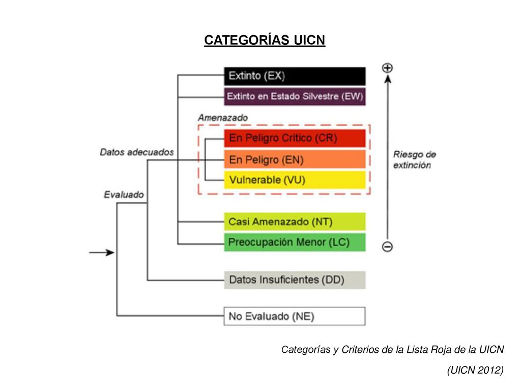 CATEGORÍAS UICN Categorías y Criterios de la Lista Roja de la UICN