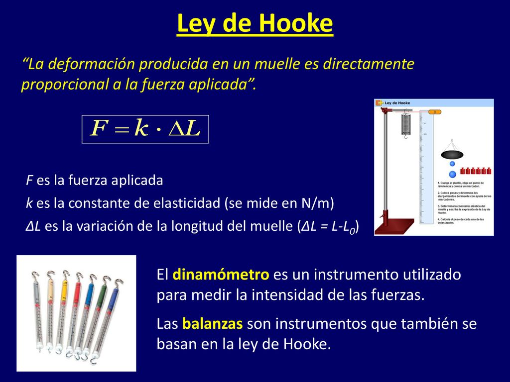 Ley de Hooke La deformación producida en un muelle es directamente proporcional a la fuerza aplicada .