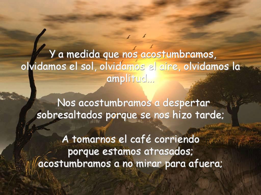 Y a medida que nos acostumbramos, olvidamos el sol, olvidamos el aire, olvidamos la amplitud...