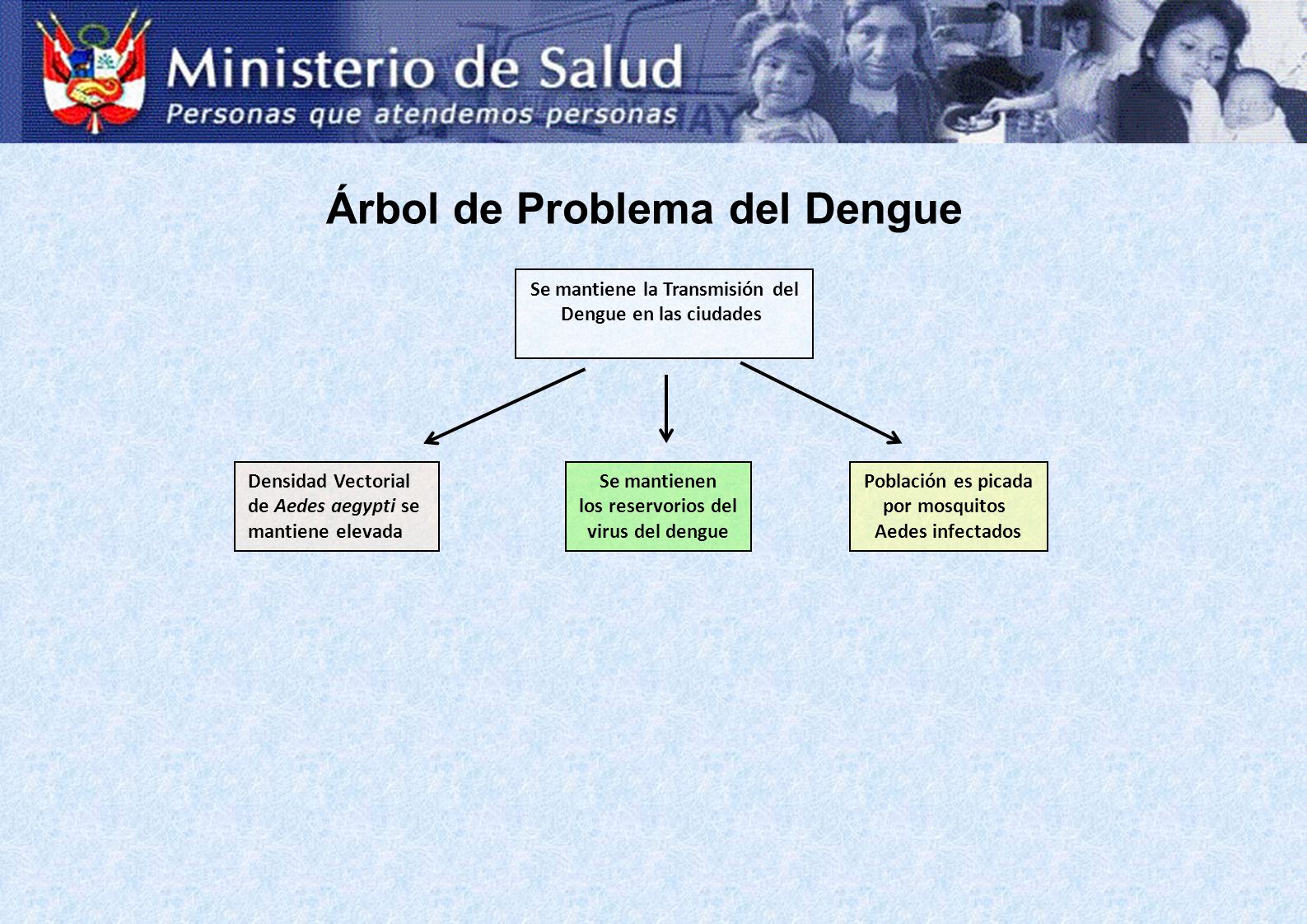 Árbol de Problema del Dengue