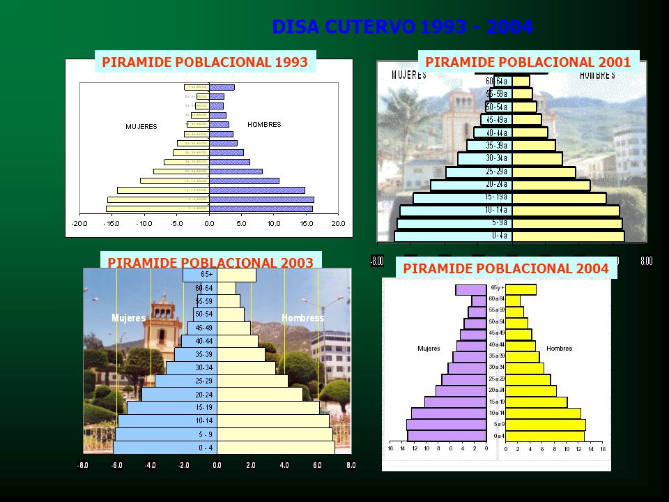 DISA CUTERVO PIRAMIDE POBLACIONAL 1993