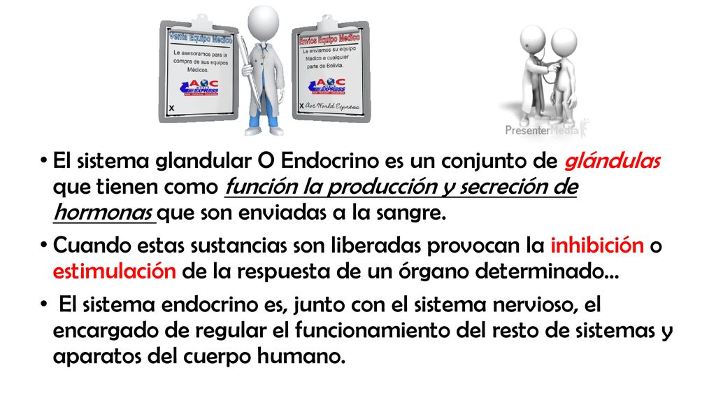 El sistema glandular O Endocrino es un conjunto de glándulas que tienen como función la producción y secreción de hormonas que son enviadas a la sangre.