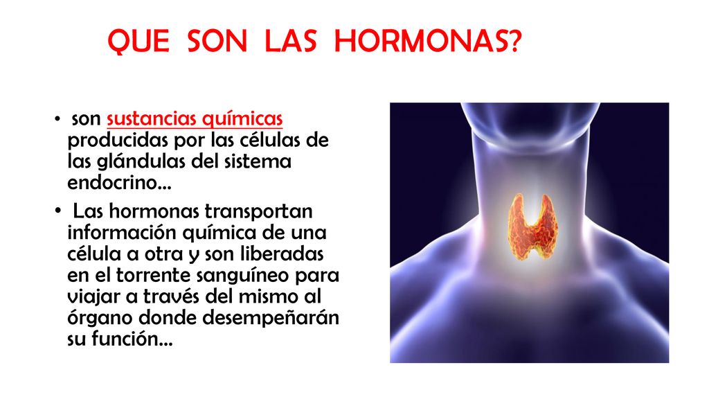 QUE SON LAS HORMONAS son sustancias químicas producidas por las células de las glándulas del sistema endocrino…