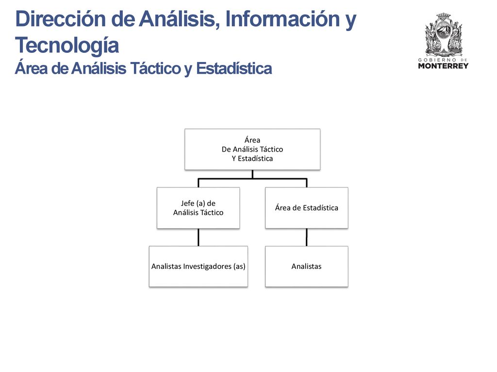 Analistas Investigadores (as)