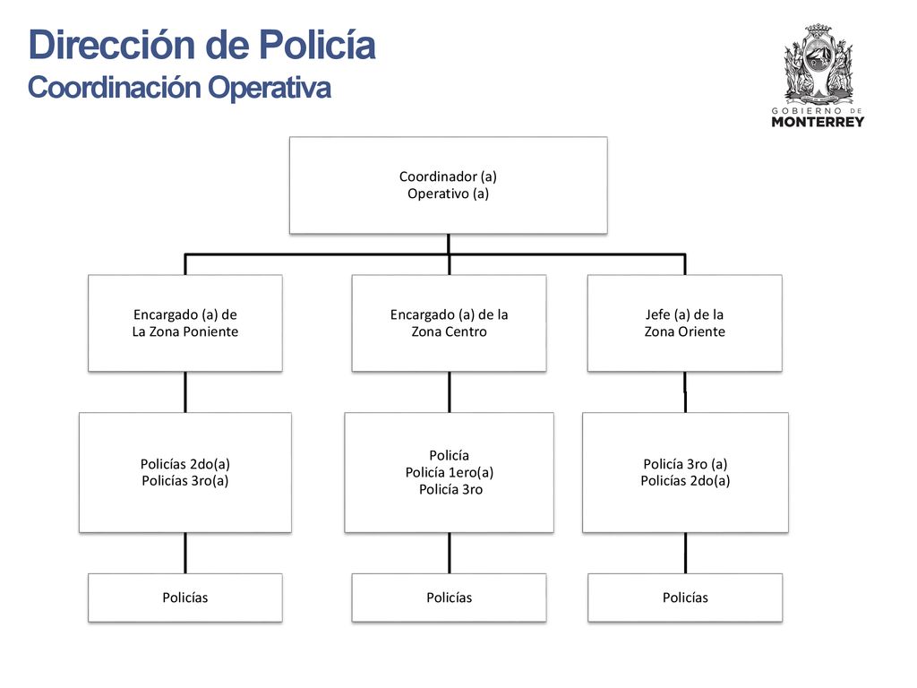 Dirección de Policía Coordinación Operativa Coordinador (a)