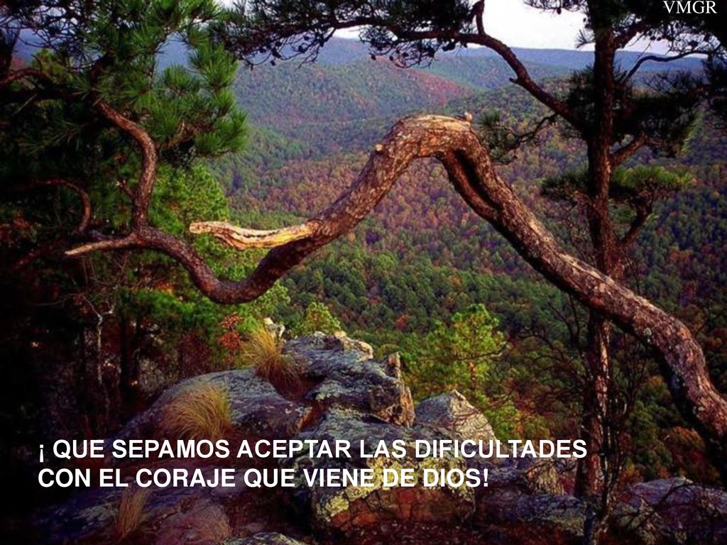 VMGR ¡ QUE SEPAMOS ACEPTAR LAS DIFICULTADES CON EL CORAJE QUE VIENE DE DIOS!