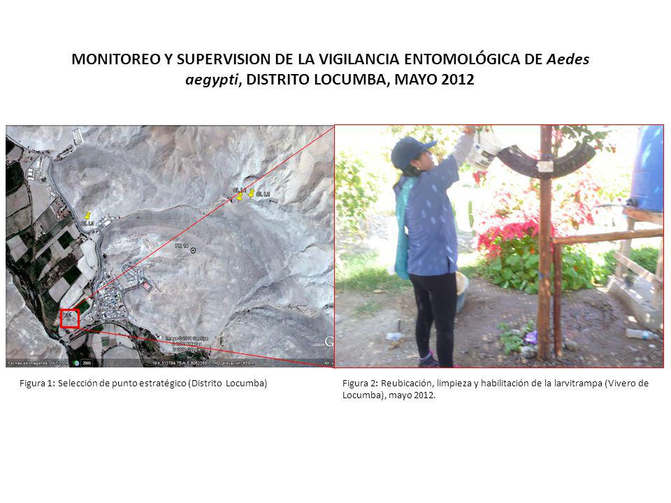 MONITOREO Y SUPERVISION DE LA VIGILANCIA ENTOMOLÓGICA DE Aedes aegypti, DISTRITO LOCUMBA, MAYO 2012