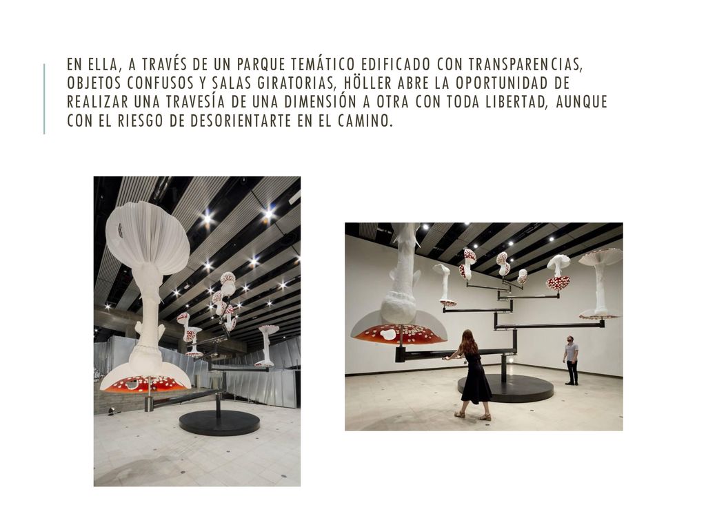 En ella, a través de un parque temático edificado con transparencias, objetos confusos y salas giratorias, Höller abre la oportunidad de realizar una travesía de una dimensión a otra con toda libertad, aunque con el riesgo de desorientarte en el camino.