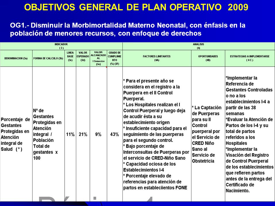OBJETIVOS GENERAL DE PLAN OPERATIVO 2009