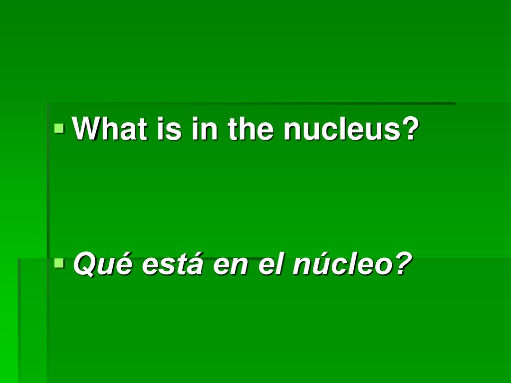 What is in the nucleus Qué está en el núcleo