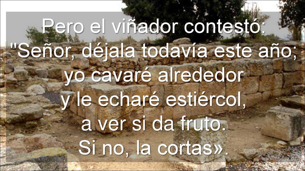 Pero el viñador contestó: Señor, déjala todavía este año; yo cavaré alrededor y le echaré estiércol, a ver si da fruto.