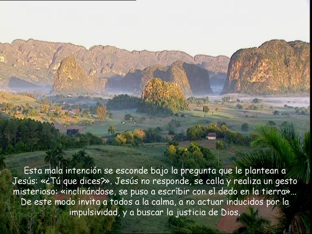 Esta mala intención se esconde bajo la pregunta que le plantean a Jesús: «¿Tú que dices ».