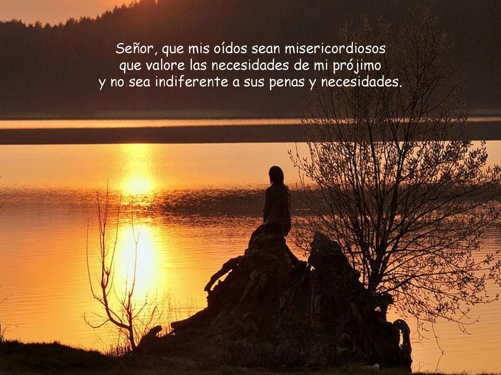 Señor, que mis oídos sean misericordiosos