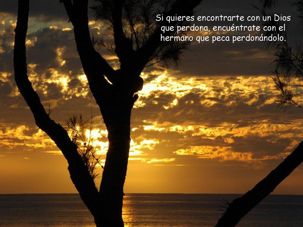 Si quieres encontrarte con un Dios que perdona, encuéntrate con el hermano que peca perdonándolo.