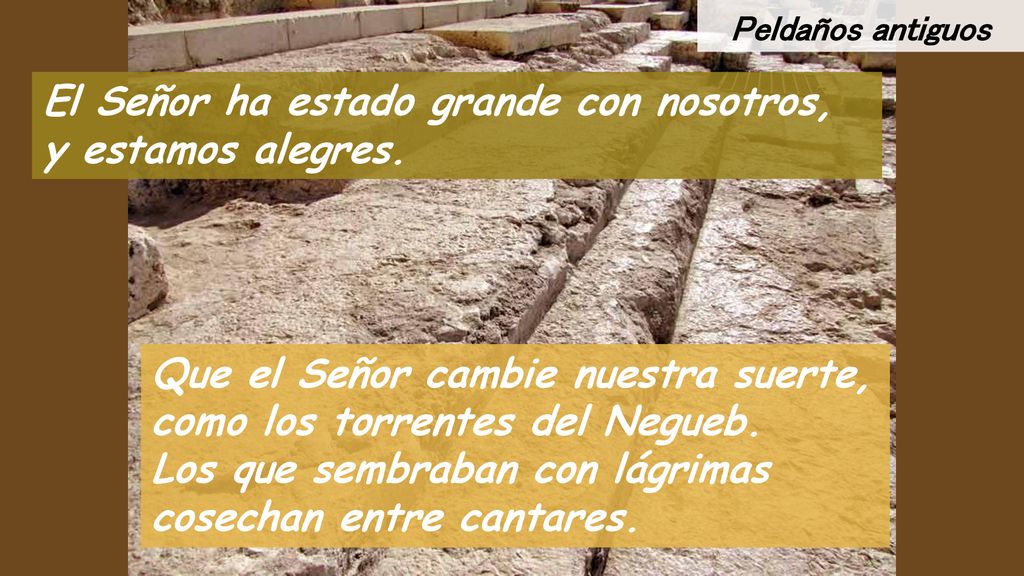 El Señor ha estado grande con nosotros, y estamos alegres.