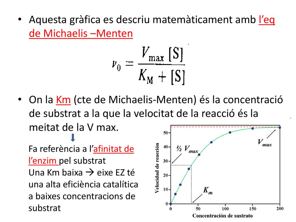 Aquesta gràfica es descriu matemàticament amb l’eq de Michaelis –Menten