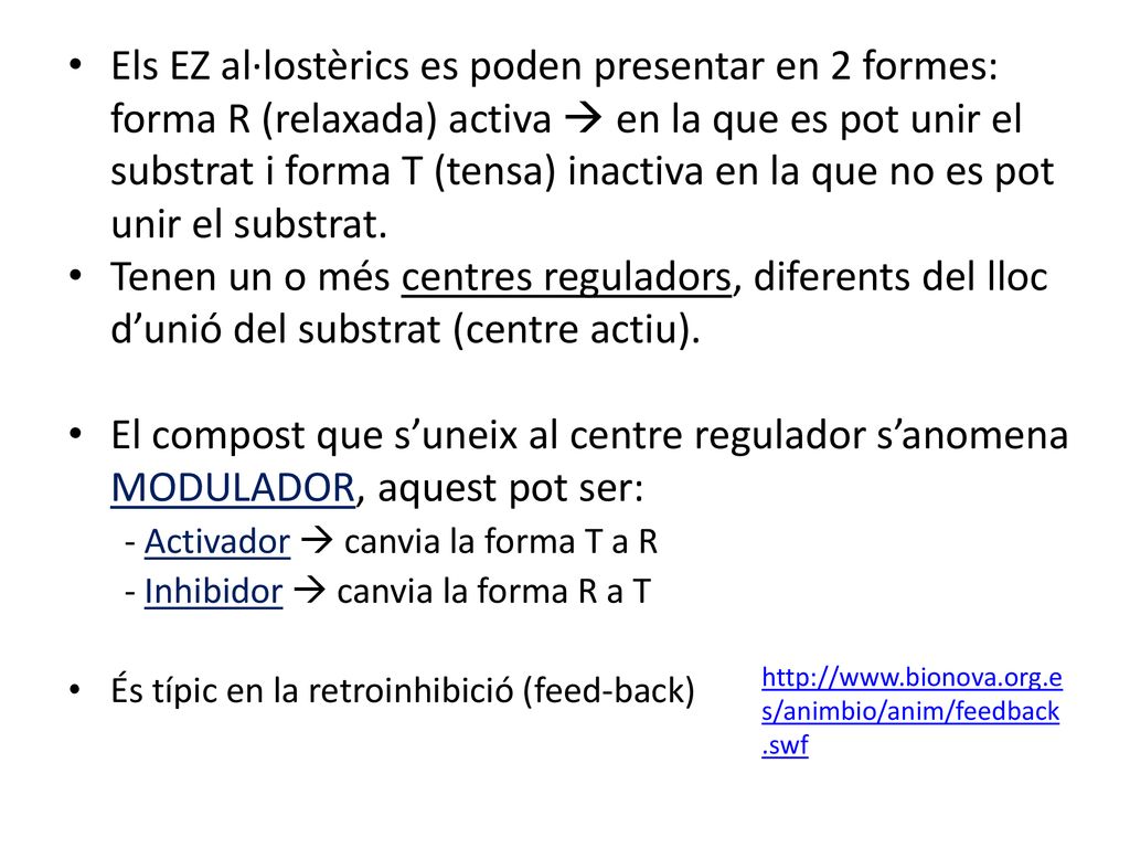 Els EZ al·lostèrics es poden presentar en 2 formes: forma R (relaxada) activa  en la que es pot unir el substrat i forma T (tensa) inactiva en la que no es pot unir el substrat.