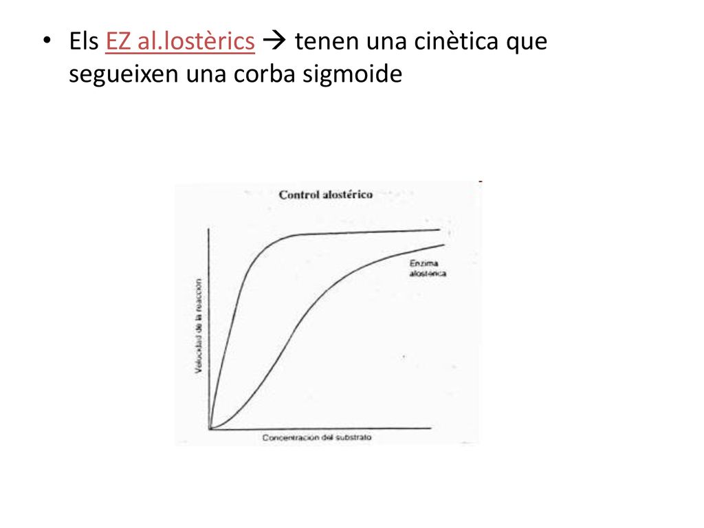 Els EZ al.lostèrics  tenen una cinètica que segueixen una corba sigmoide