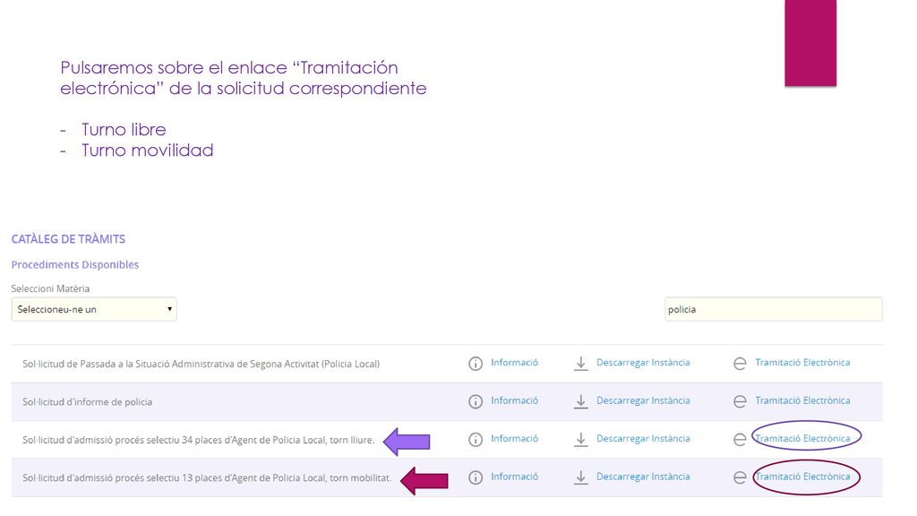 Pulsaremos sobre el enlace Tramitación electrónica de la solicitud correspondiente