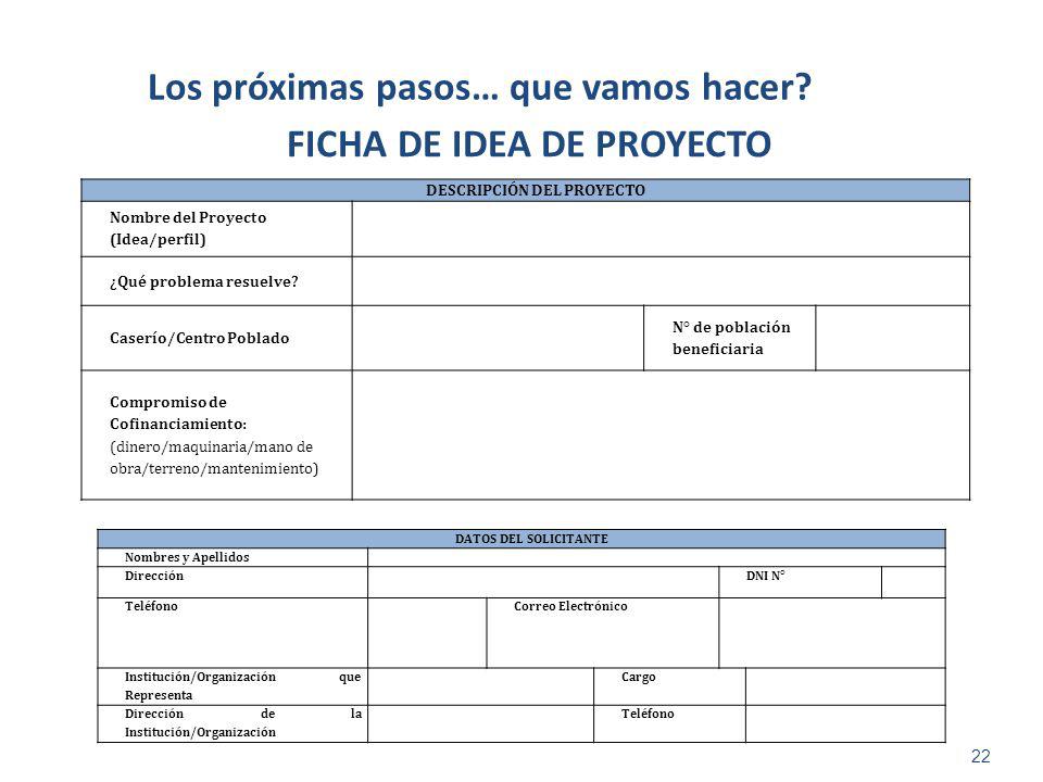 Los próximas pasos… que vamos hacer FICHA DE IDEA DE PROYECTO