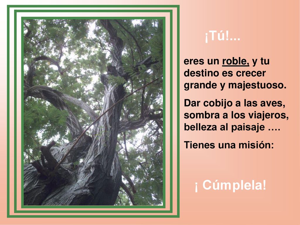 ¡Tú!... eres un roble, y tu destino es crecer grande y majestuoso.