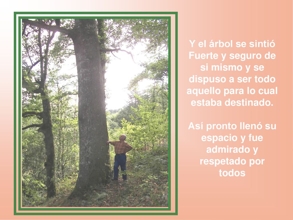 Así pronto llenó su espacio y fue admirado y respetado por todos