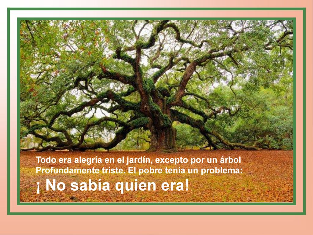 Todo era alegría en el jardín, excepto por un árbol