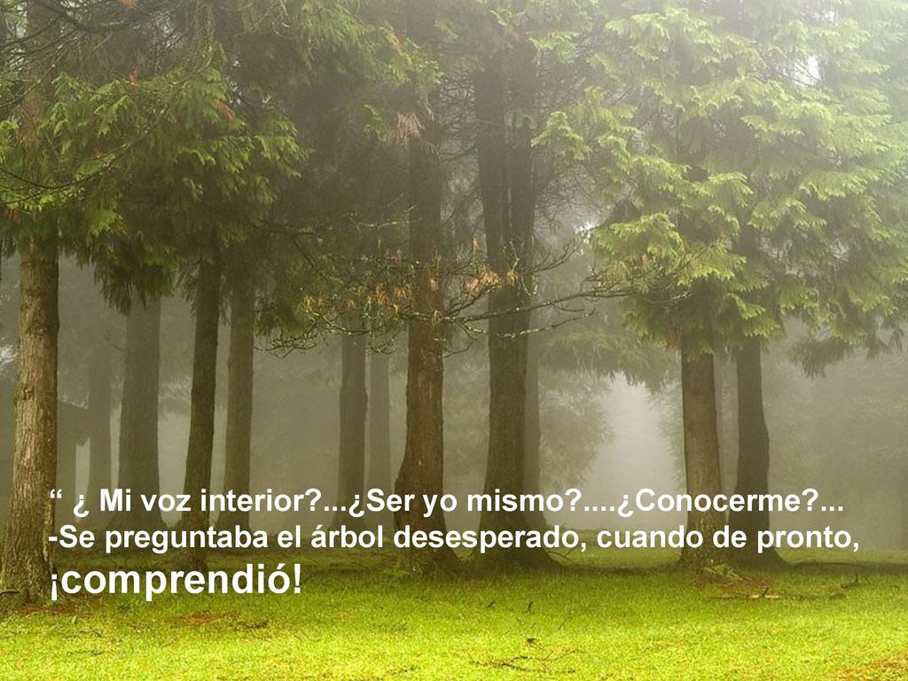 ¿ Mi voz interior ...¿Ser yo mismo ....¿Conocerme ...