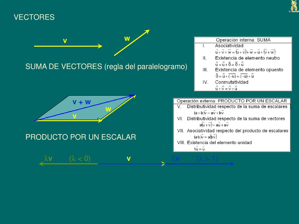 VECTORES w. v. SUMA DE VECTORES (regla del paralelogramo) v + w. w. v. PRODUCTO POR UN ESCALAR.