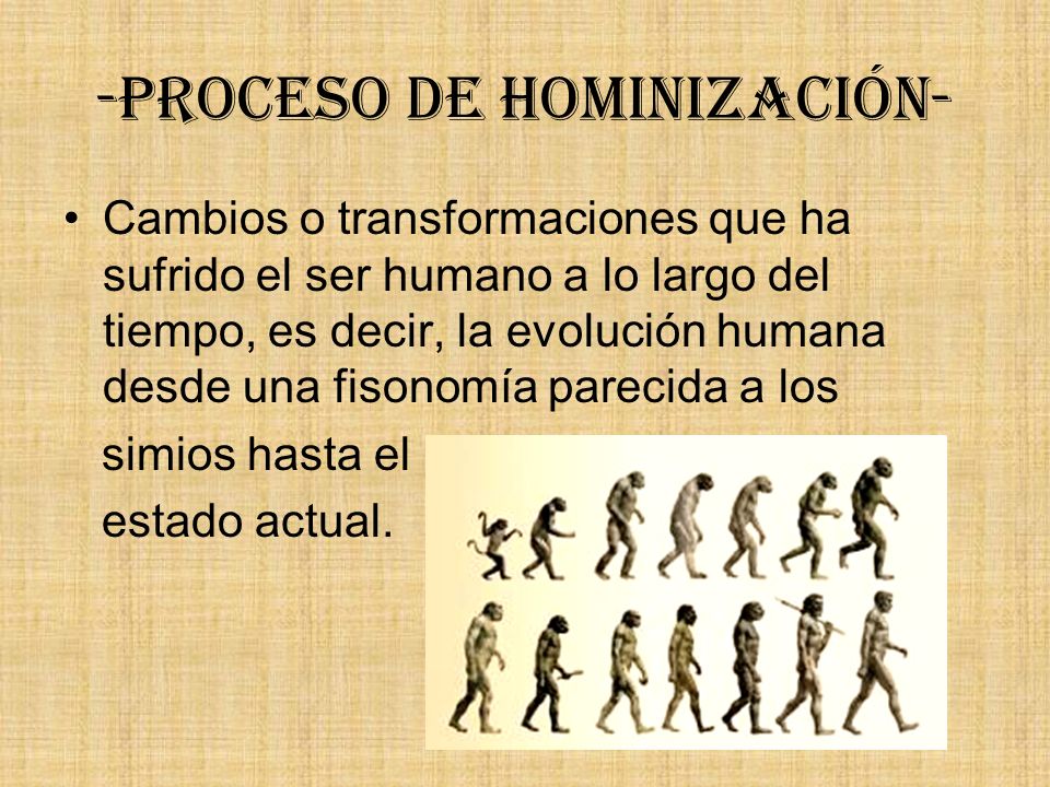 -Proceso de hominización-
