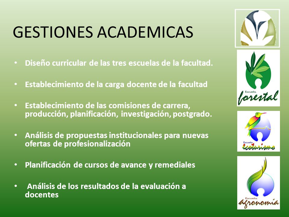 GESTIONES ACADEMICAS Diseño curricular de las tres escuelas de la facultad. Establecimiento de la carga docente de la facultad.