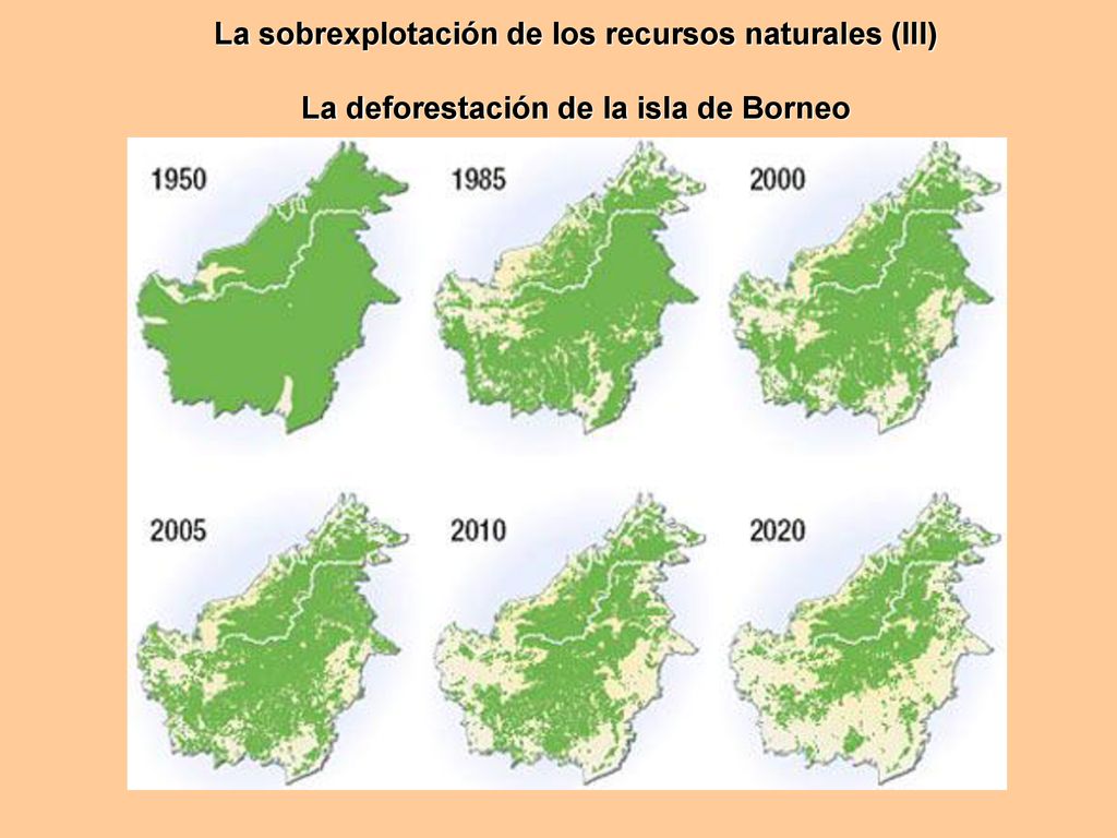 La sobrexplotación de los recursos naturales (III) La deforestación de la isla de Borneo