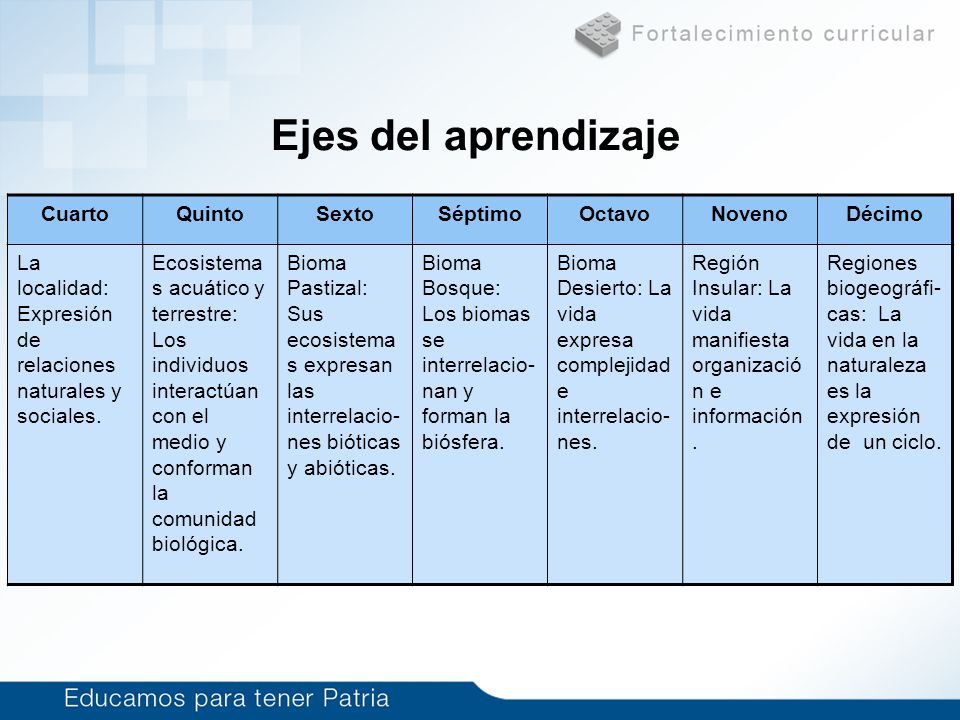 Ejes del aprendizaje Cuarto Quinto Sexto Séptimo Octavo Noveno Décimo