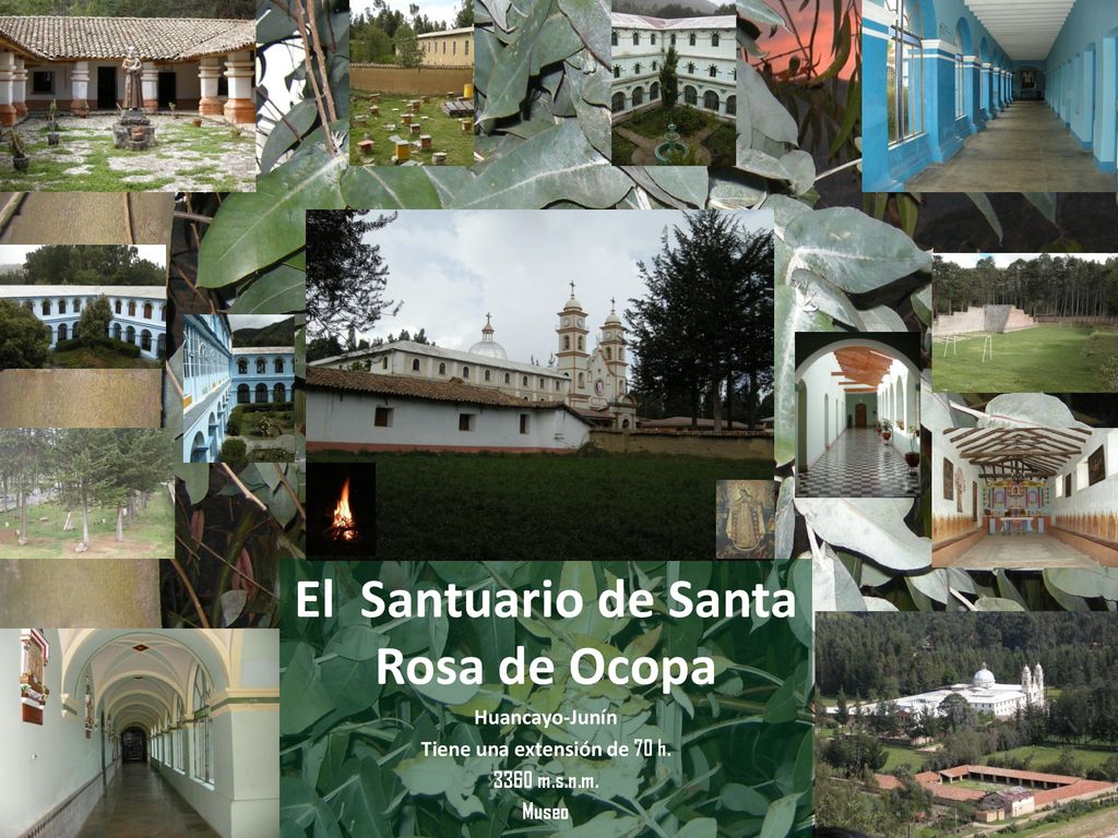 El Santuario de Santa Rosa de Ocopa Tiene una extensión de 70 h.