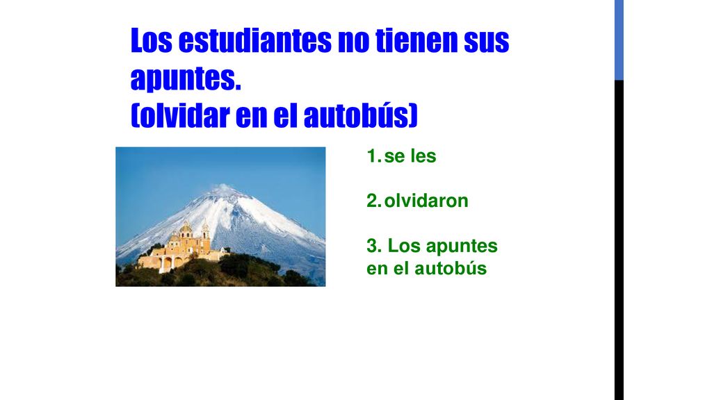 Los estudiantes no tienen sus apuntes. (olvidar en el autobús)